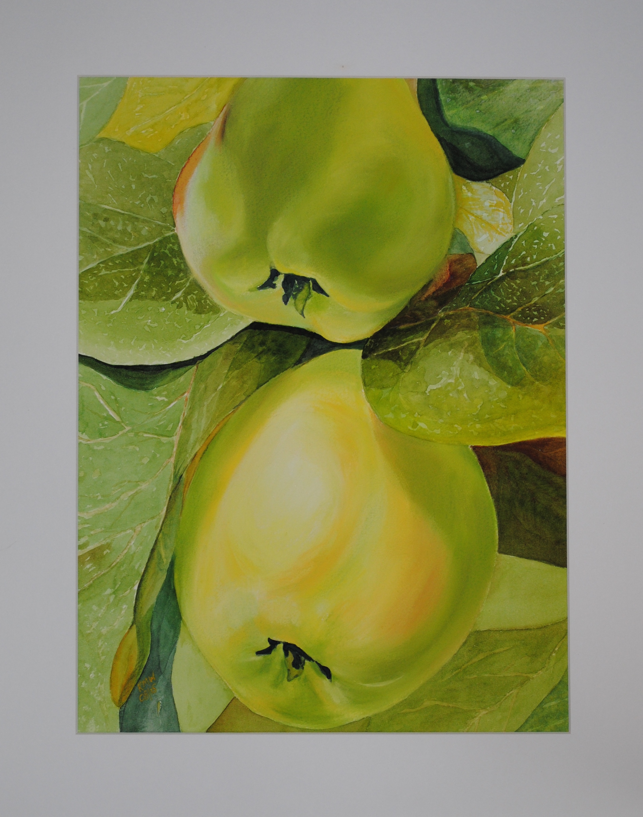 "Varnja" Quinces (Sold)