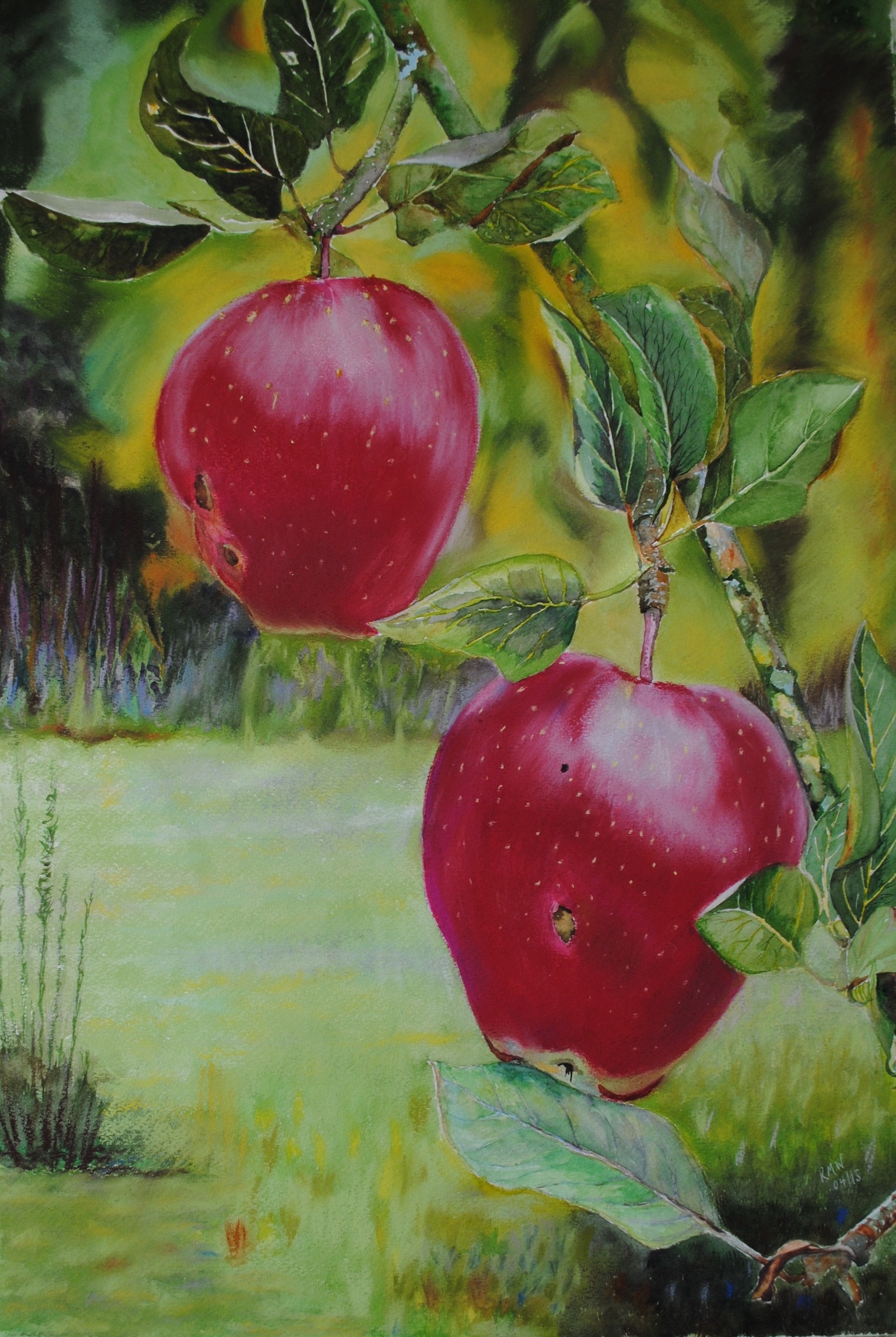 Pommes du Jardin Fruitier (Sold)