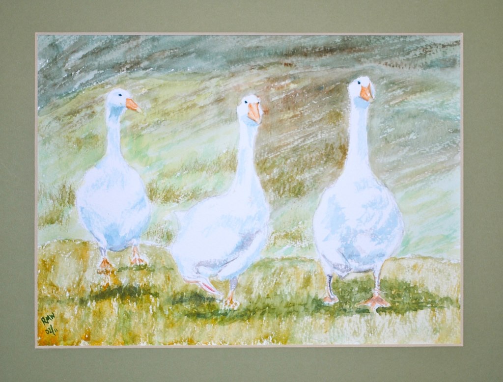 Bowland Geese (3)