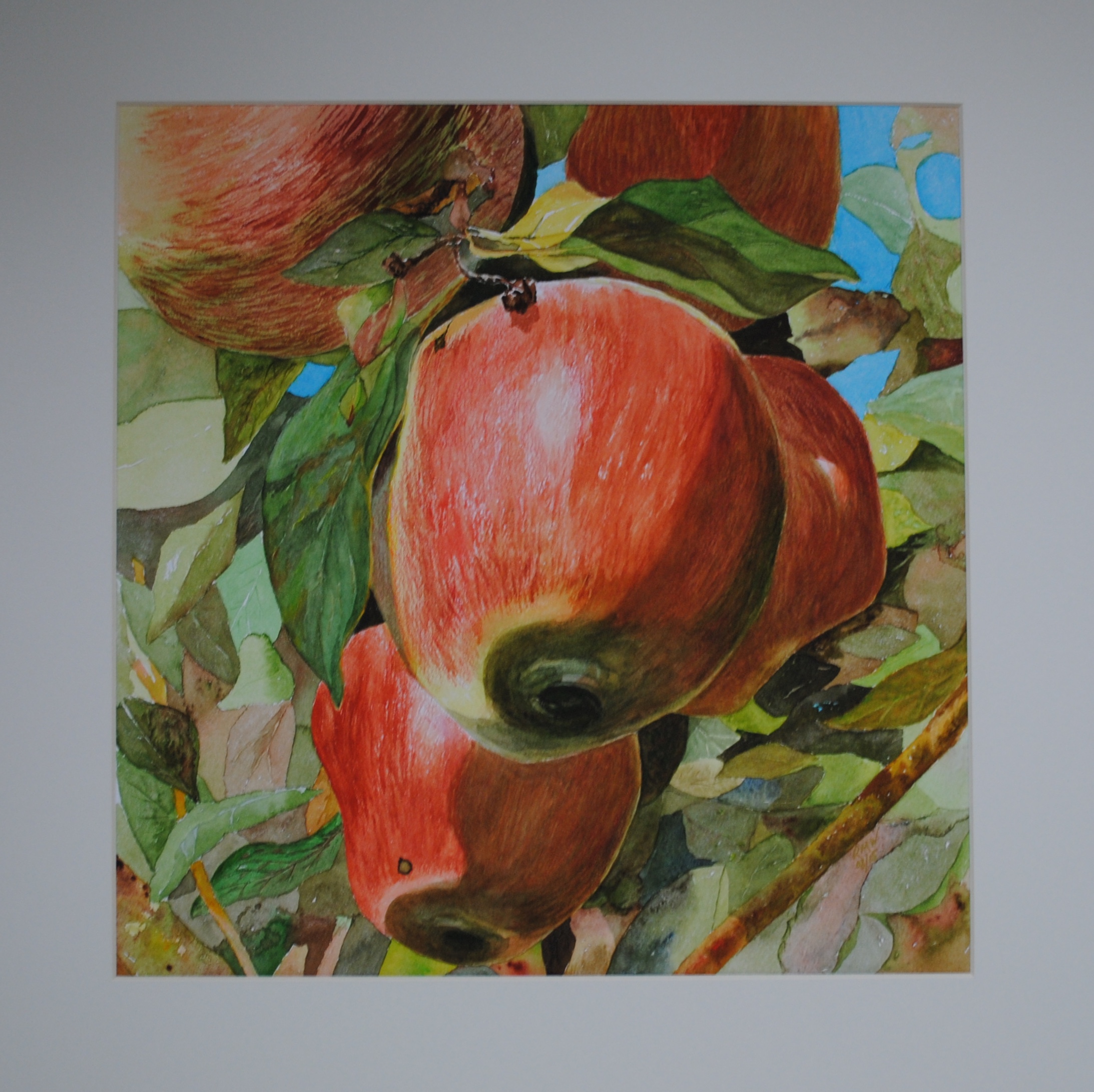 "Stark Delicious" Apple (Sold)